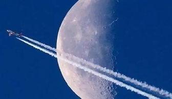 败给月亮,探寻败北背后的辉煌